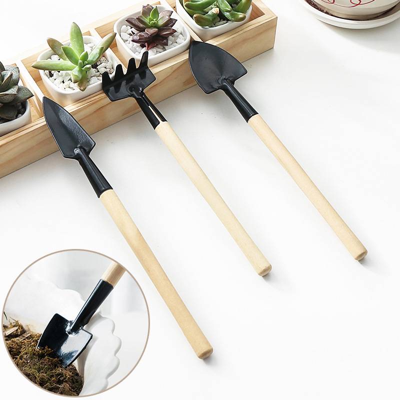 3pcs Mini Precision Garden Tool Set With Shovel,Rake,Spade